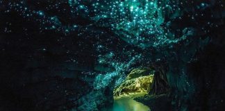 La cueva de las luciérnagas en Waitomo, Nueva Zelanda cuevas en nueva zelanda