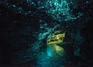 La cueva de las luciérnagas en Waitomo, Nueva Zelanda cuevas en nueva zelanda