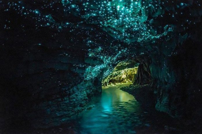 La cueva de las luciérnagas en Waitomo, Nueva Zelanda cuevas en nueva zelanda