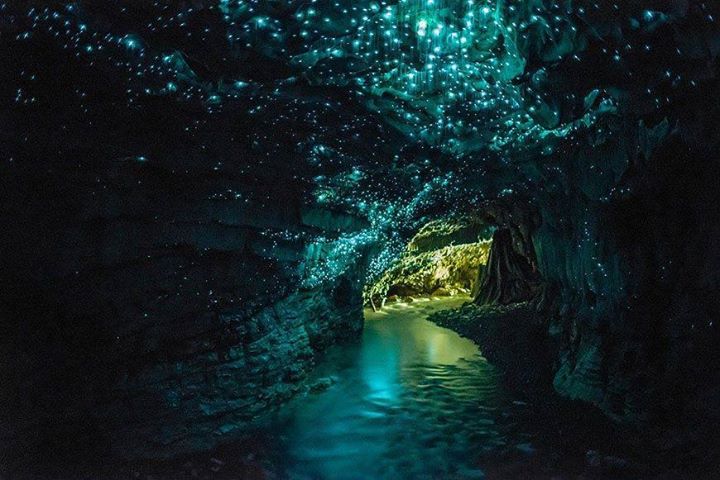 cuevas en nueva zelanda