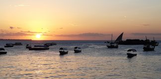 Vacunas para los viajes a Tanzania zanzibar tanzania