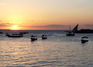 Vacunas para los viajes a Tanzania zanzibar tanzania