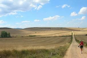 Camino de Santiago a tu aire 1: últimos 100 Km