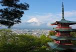 Japón: neones y samuráis