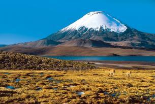 Chile: del desierto de Atacama a Chiloe a tu aire en coche de alquiler
