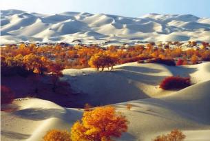 Viaje al Desierto de Taklamakan en Libertad: Al Sur del Taklamakan. Por las Sendas de la original Ruta de la Seda Sur