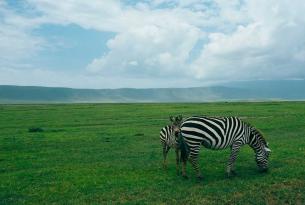 Safari con relax en las playas de Zanzíbar: la isla de las especias