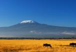 Trekking Kilimanjaro 9 días Marangu