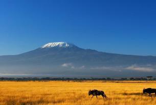 Trekking Kilimanjaro 9 días Marangu