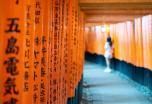 Viaje a Japón organizado: emociones infinitas