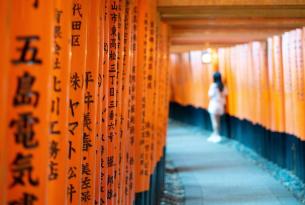 Viaje a Japón organizado: emociones infinitas