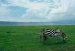 Bellezas de Tanzania en privado