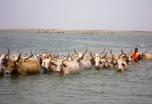 Descubre Senegal al completo en privado