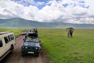 Zambia: el Valle Luangwa