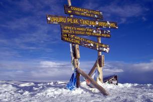 Tanzania: trekking del Kilimanjaro (Ruta Lemosho)