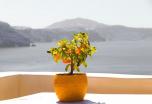 Grecia: Atenas, Santorini y Mykonos en grupo