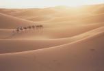 Fez y el Desierto de Marruecos