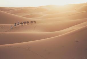 Fez y el Desierto de Marruecos
