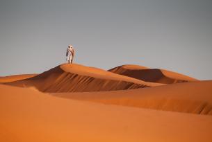 Fin de Año en el desierto de Marruecos
