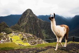 Perú: Valle Sagrado, islas flotantes de Puno, Machu Picchu y mucho más