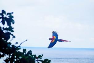 Costa Rica al completo a tu aire