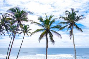 Los templos en Sri Lanka y playa de Passikhuda