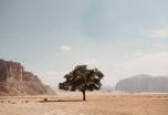 Jordania al completo en privado