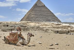 El adorable Egipto en grupo con días de playa en el mar Rojo