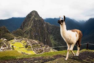 Titicaca y Machu Picchu, Perú