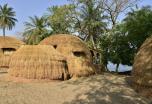 Senegal y Casamance en privado
