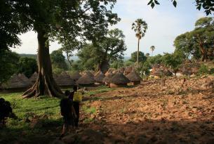 Ruta completa por Casamance y País Bassari