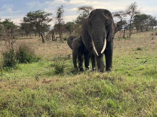 Ruta Aventura en África Oriental