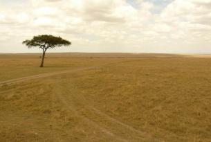 Safari fotográfico Kenya
