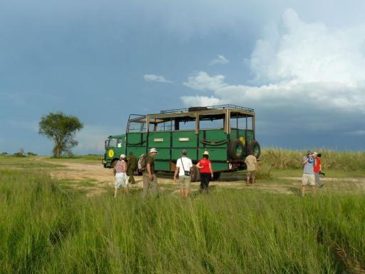 Gorila Trek Aventura