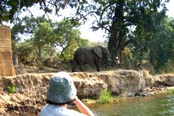 Zambia & Zimbabwe Flying Safari