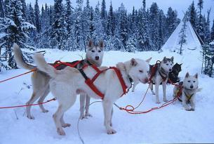 Laponia Navidades en Rovaniemi