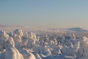 Laponia: actividades invernales en Ivalo (8 días)