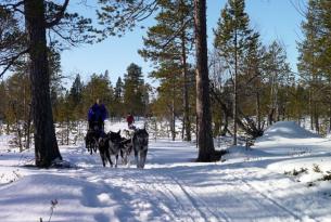 Aventura polar: norte de Suecia, norte de Finlandia, norte de Noruega, Oslo y crucero rompehielos