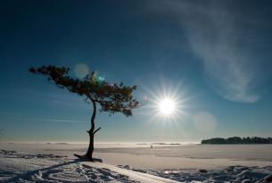 Aventura Polar: Suecia, Noruega y Finlandia