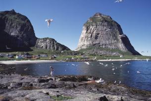 Islas Lofoten y sol de medianoche circuito en grupo con guía