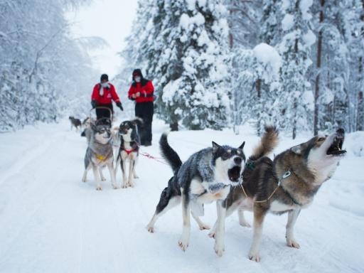 Dos Laponias: Laponia finlandesa, Laponia noruega y Cabo Norte en coche de alquiler