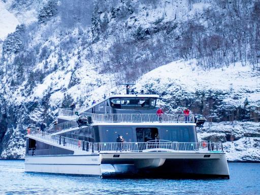 Fiordos nevados en invierno: Viaje a Oslo y Bergen