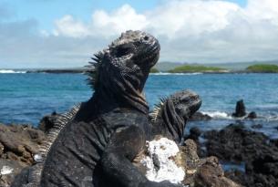 Ecuador: estancia en Islas Galápagos "saltando" de isla a isla (8 días)