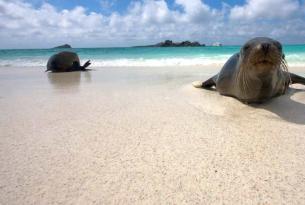Ecuador: estancia en Islas Galápagos "saltando" de isla a isla (4 días)