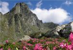 Trekking en Transilvania: Travesía de las montañas Fagaras