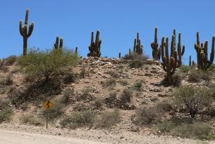 Ruta 40: De Mendoza a Salta (Argentina)