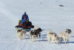 Viaje Antropológico: Expedición Inuit, Groenlandia