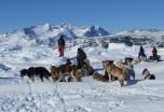 Expedición en trineo de perros por la costa este de Groenlandia