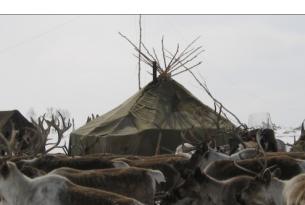 Expedición antropológica a la tierra de los Evens en Kamchatka (Siberia)