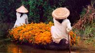 Viaje a Vietnam. Grupo verano. Cultura milenaria
